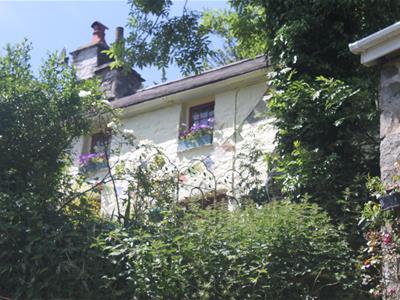 Picture 14